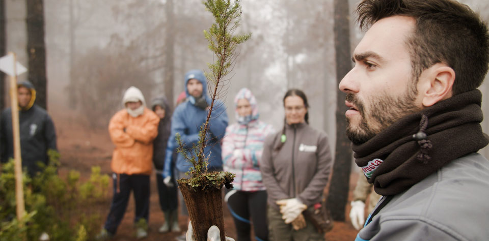 Grabación de la primera jornada de reforestación con voluntarios de la Fundación Foresta