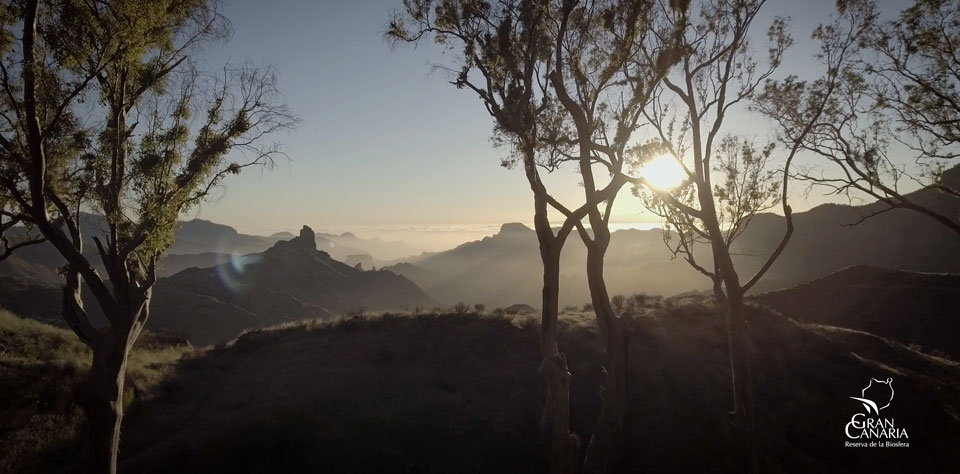 Siguen los trabajos del nuevo vídeo de la Reserva de la Biosfera de Gran Canaria